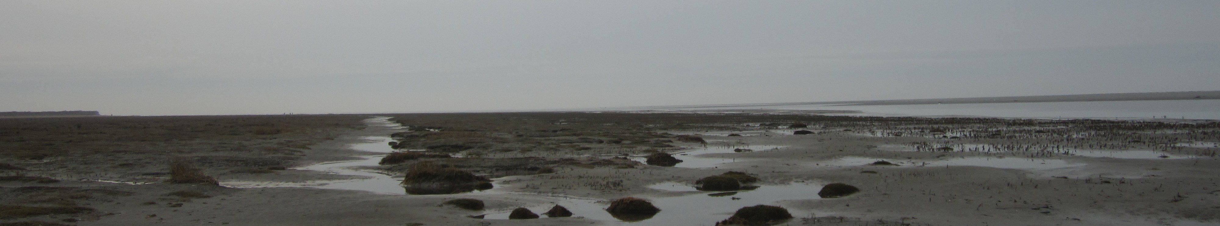 Westerstrand